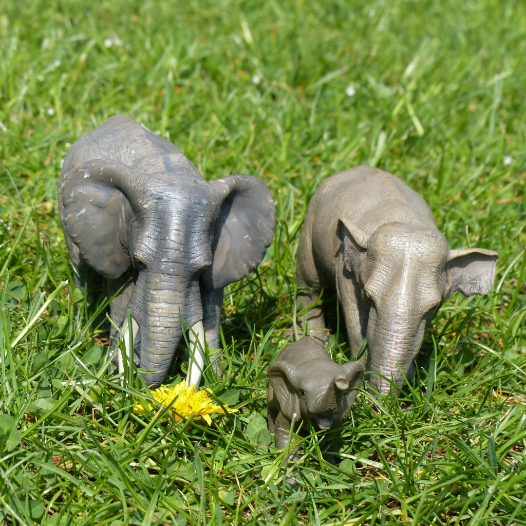 Frühförderung - Elefantenfamilie